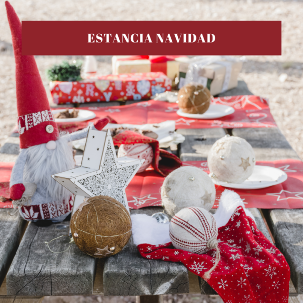 Bono Regalo Estancia Navidad